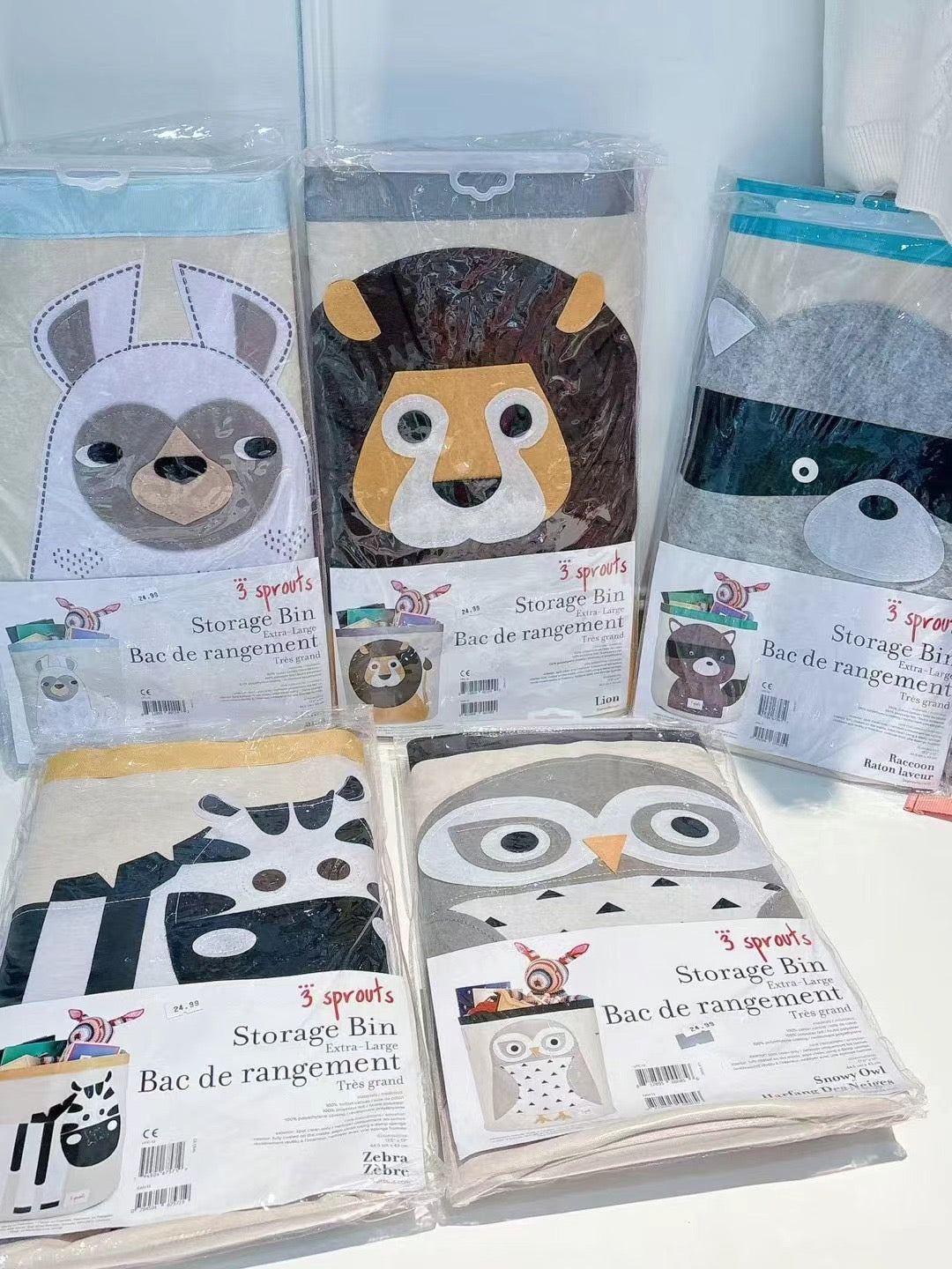 3 Sprouts Storage Bin