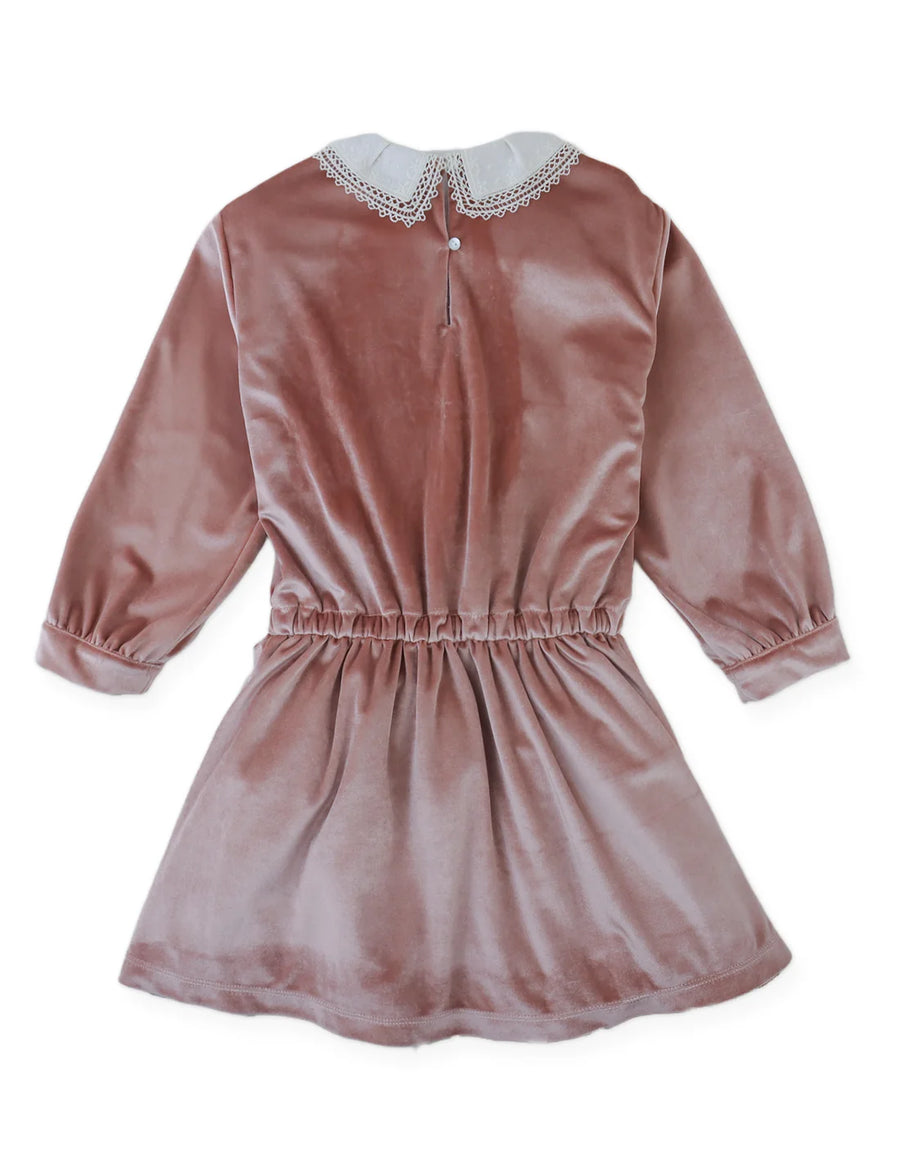 Gingersnaps Clementina Drop-Waist Velvet Dress with Embroidered Collar and Side Ties