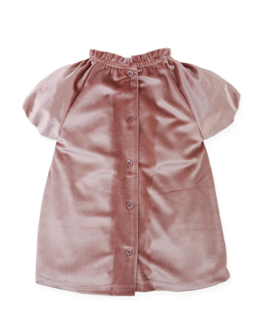 Gingersnaps Baby Velvet Dress with Floral Appliqués