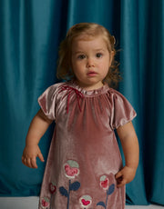 Gingersnaps Baby Velvet Dress with Floral Appliqués