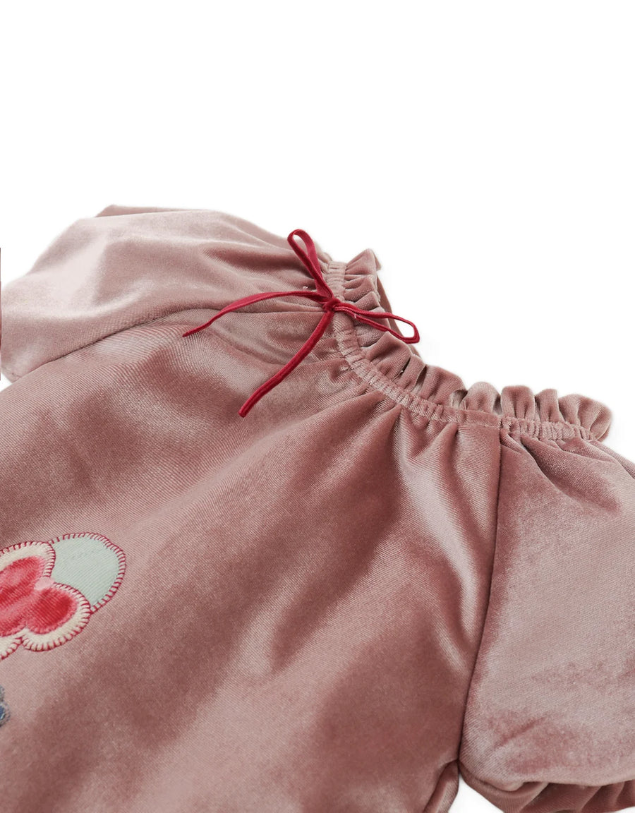 Gingersnaps Baby Velvet Dress with Floral Appliqués