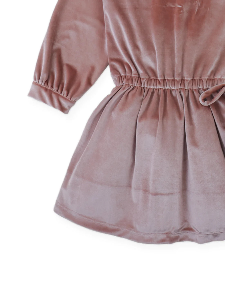 Gingersnaps Clementina Drop-Waist Velvet Dress with Embroidered Collar and Side Ties