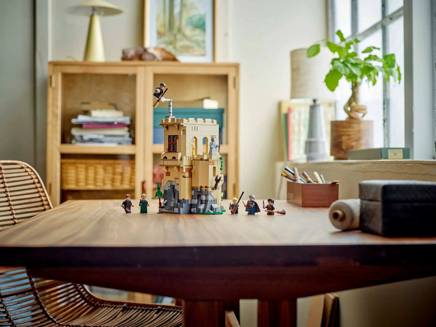 LEGO Harry Potter Hogwarts™ Castle: Flying Lessons #76447