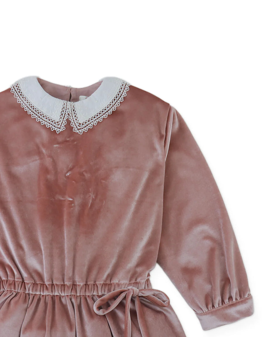 Gingersnaps Clementina Drop-Waist Velvet Dress with Embroidered Collar and Side Ties