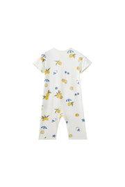 Norsu Organic Baby Organic Kimono Bodysuit