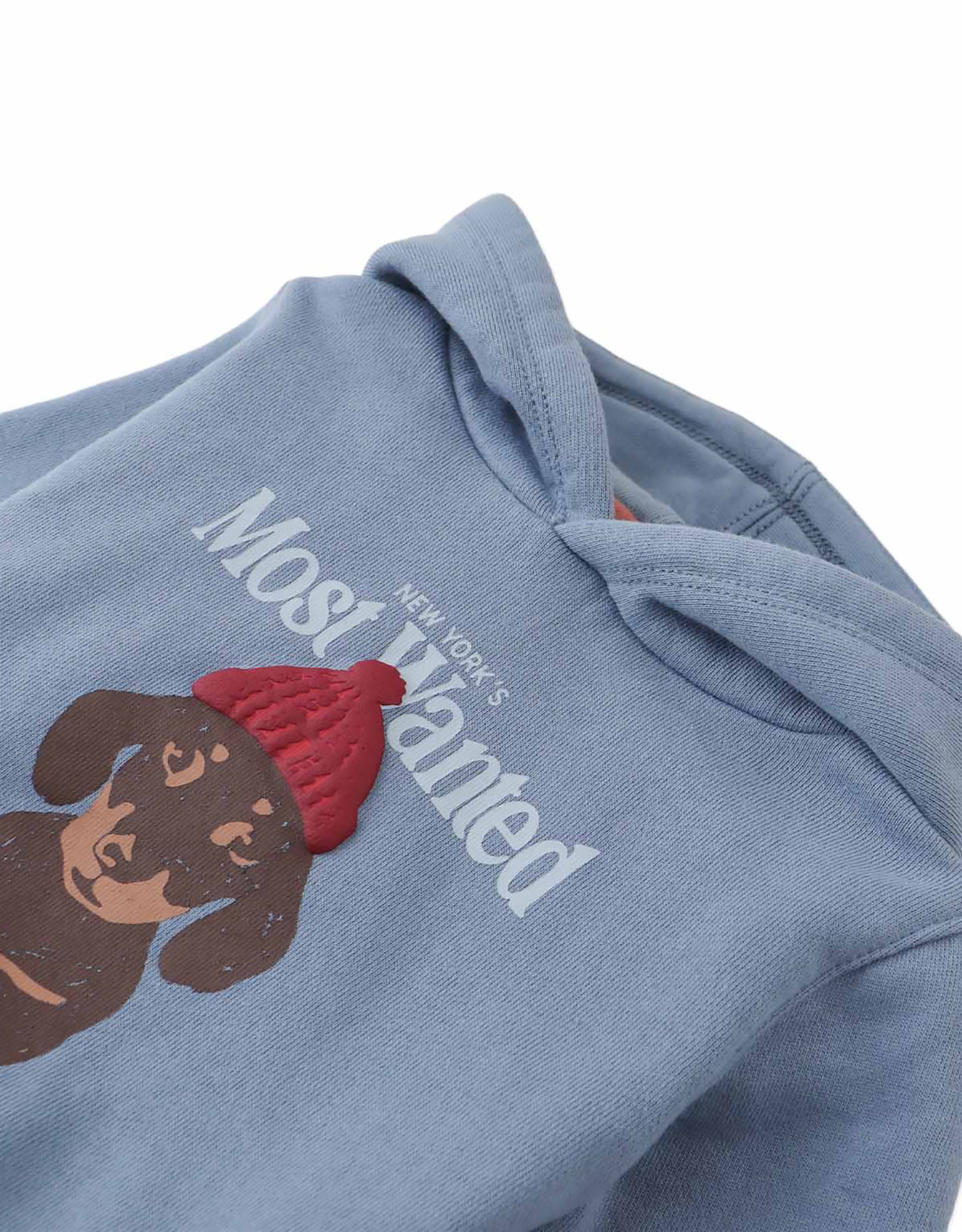 Gingersnaps Baby Dante Pullover Hoodie with Most Wanted Graphic