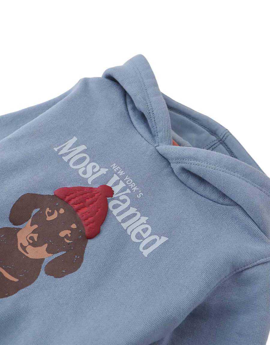 Gingersnaps Baby Dante Pullover Hoodie with Most Wanted Graphic