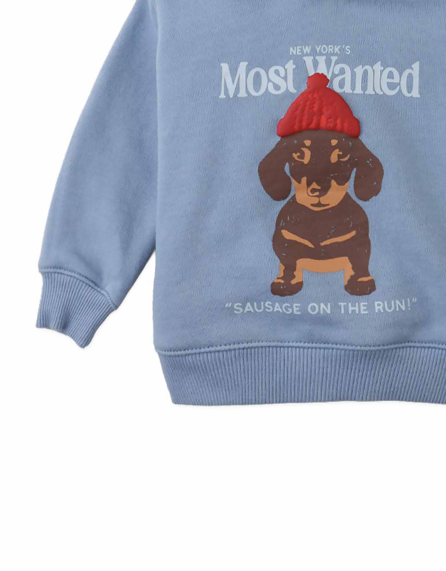Gingersnaps Baby Dante Pullover Hoodie with Most Wanted Graphic