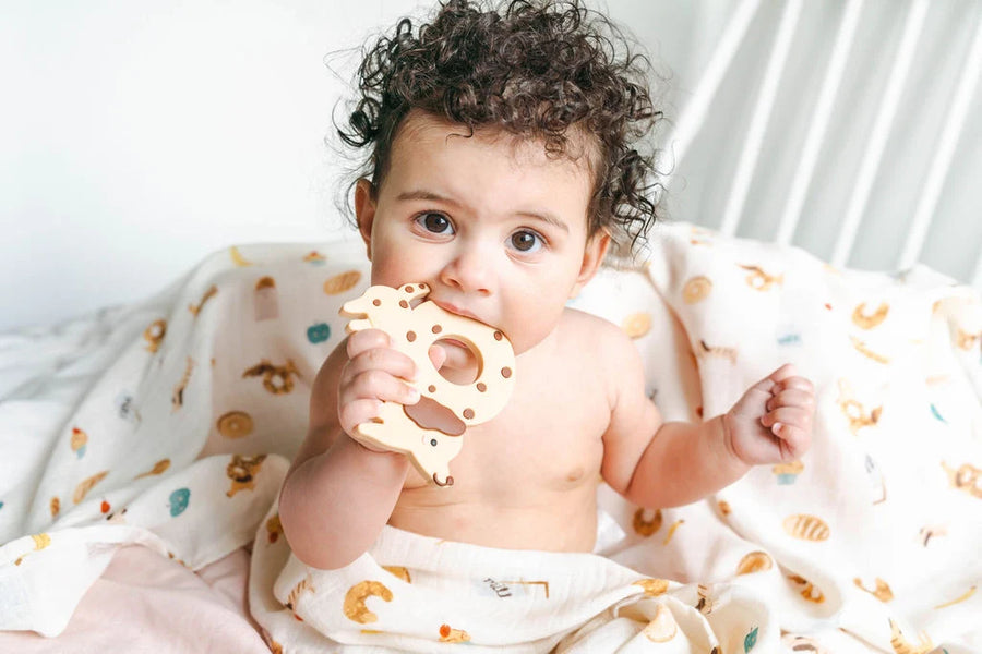Loulou Lollipop Muslin Swaddle - French Breakfast