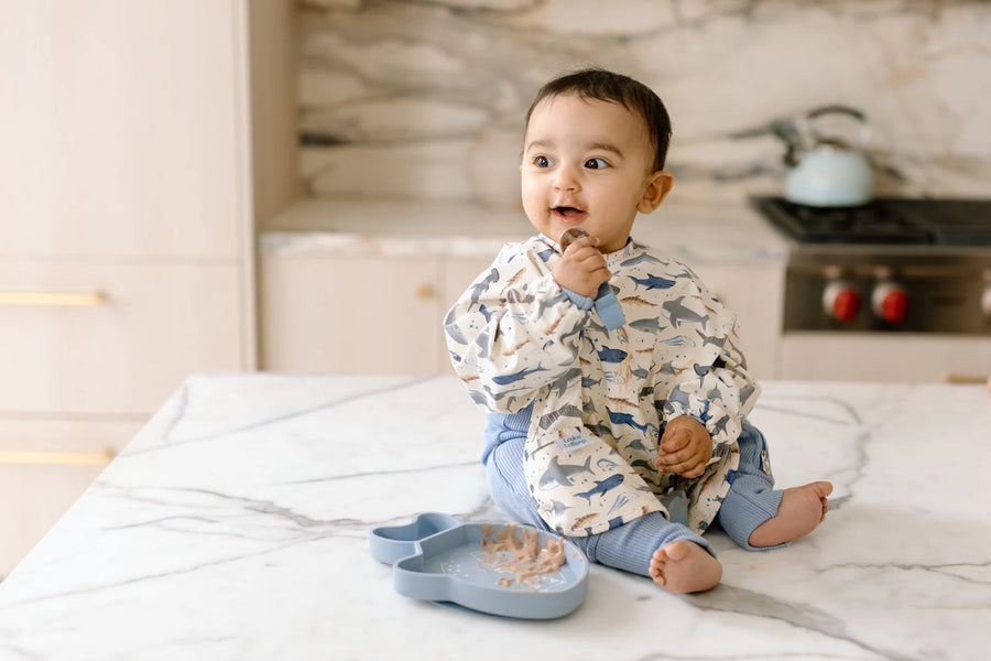 Loulou Lollipop Silicone Snack Plate