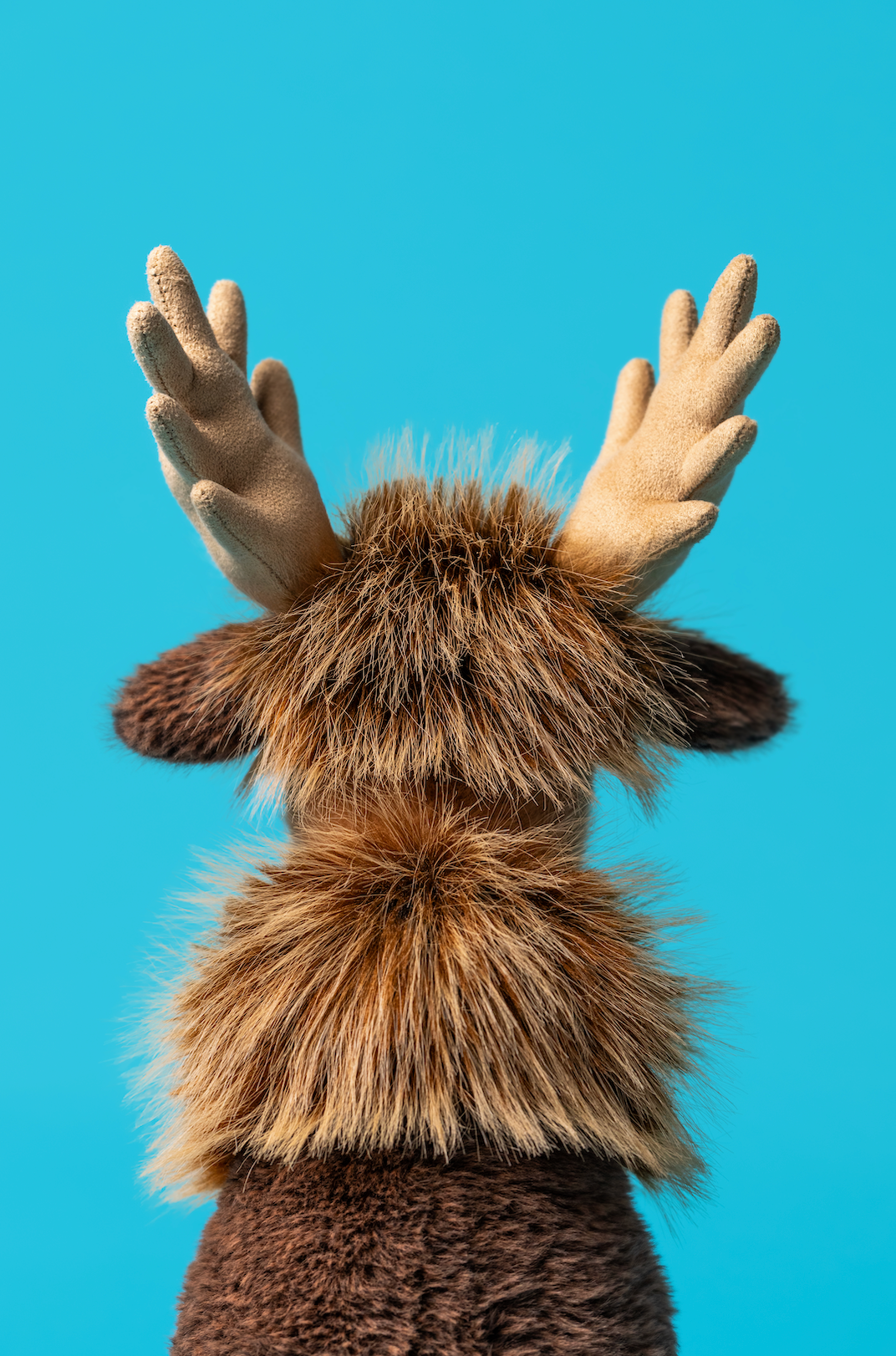Jellycat Birchly Moose