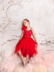 Tutu Du Monde Ruby Dazzle Tutu Dress