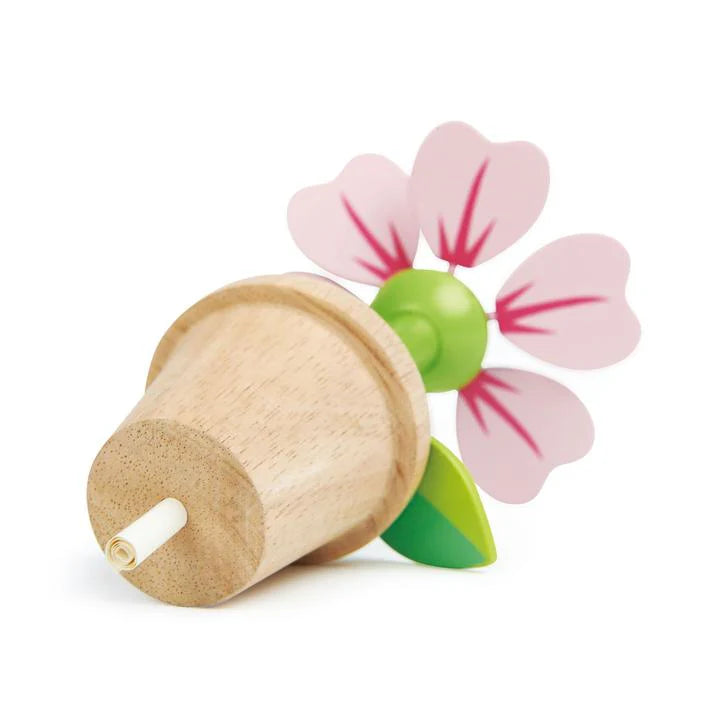 Tender Leaf Baby Blossom Flowerpot Set
