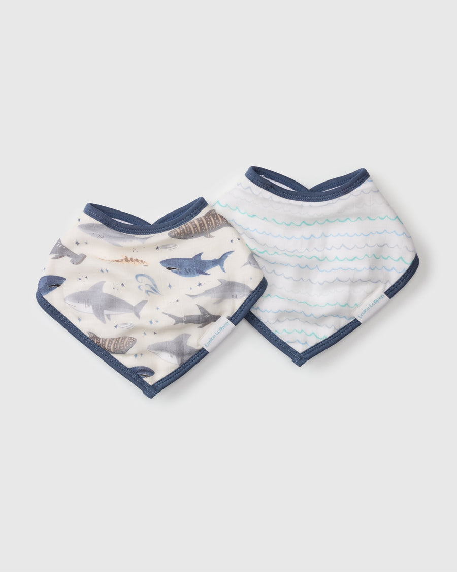Loulou Lollipop Bandana Bib Set