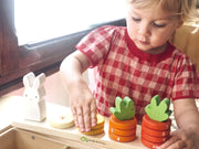Tender Leaf Baby Counting Carrots