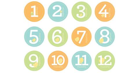 Pearhead First Year Milestone Stickers