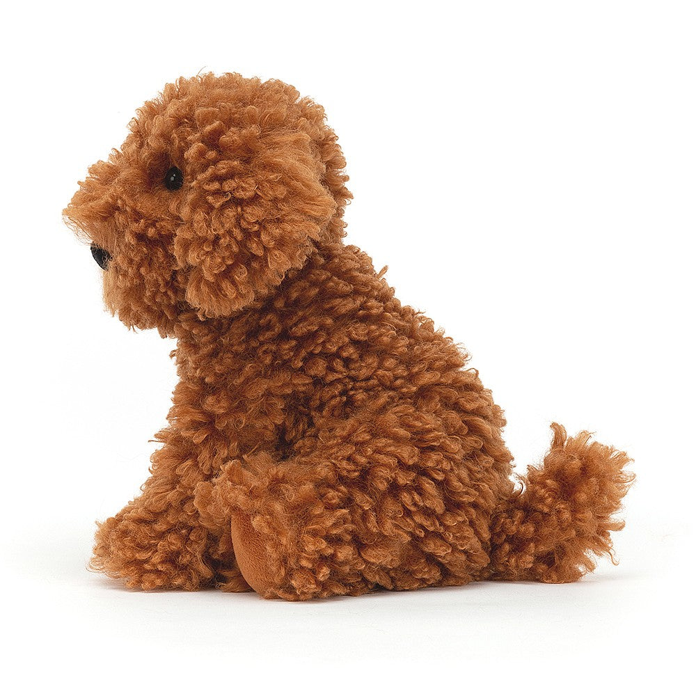 Copper toy poodle sale