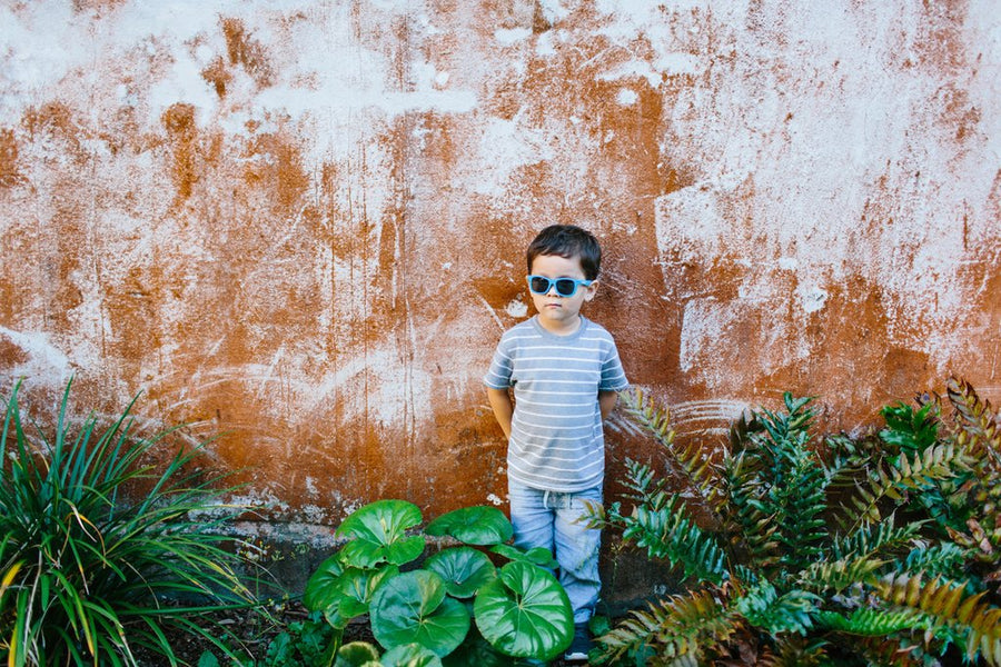 Babiator Navigator Blue Crush Sunglasses