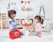 Tender Leaf Baby toys Doctor's Bag